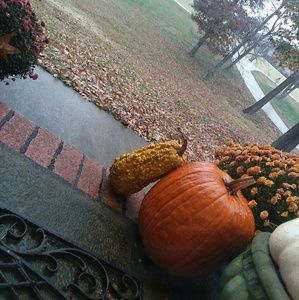 Meet your Posher, Sheila